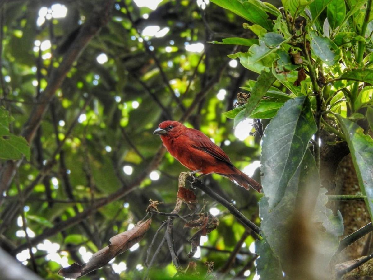 Ecofinca Salento Eksteriør bilde