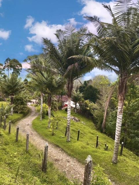 Ecofinca Salento Eksteriør bilde